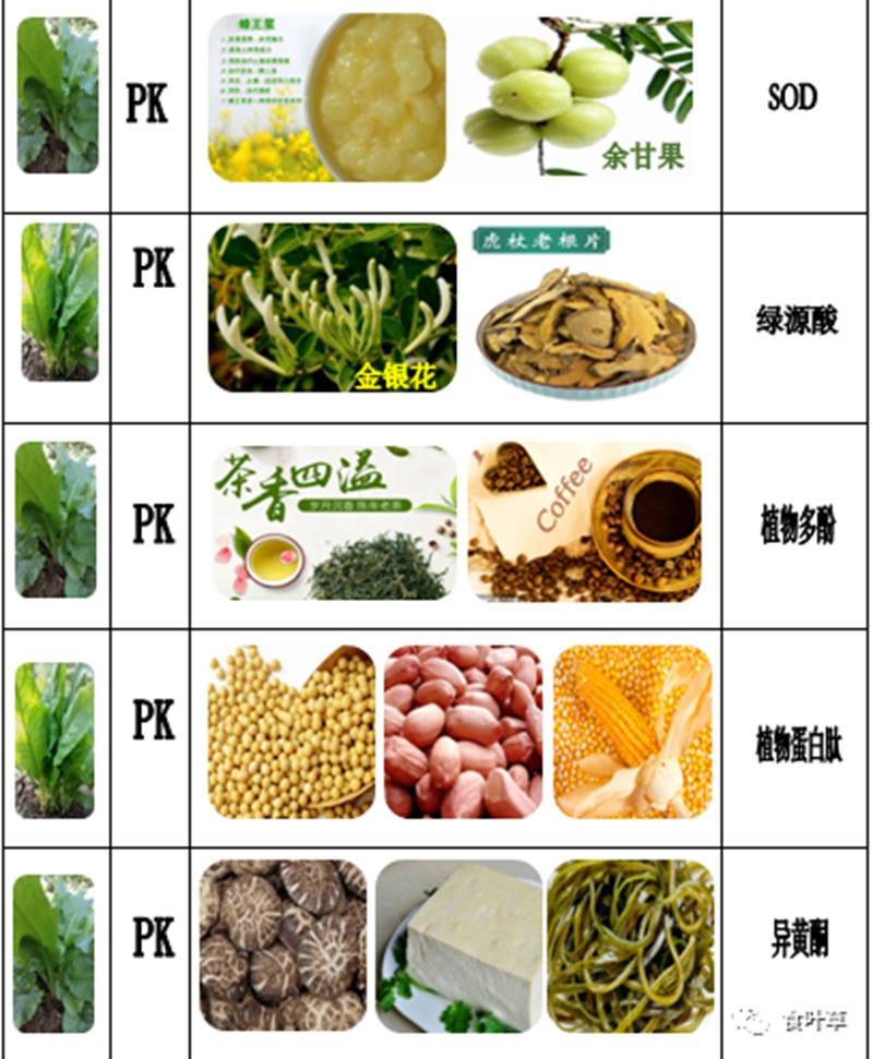 微信图片_20240916102327_副本.jpg