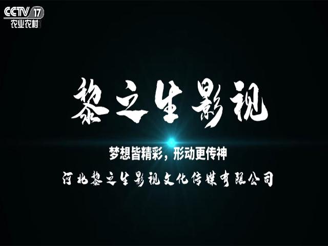 河北黎之生影视文化传媒有限公司