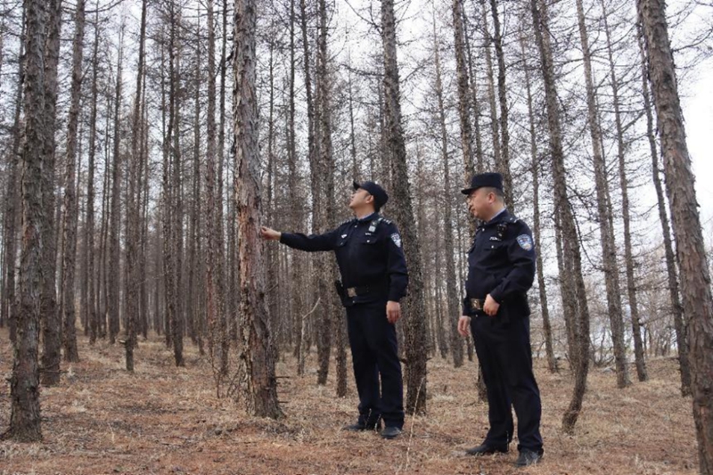图片1_副本.jpg