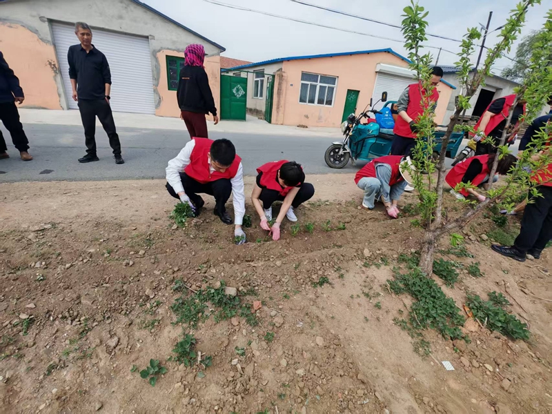 图片2_副本.jpg