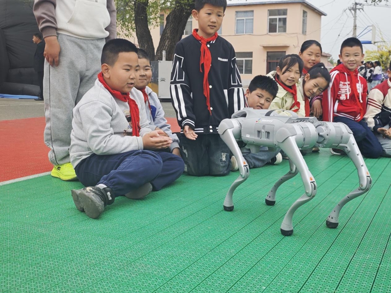 图片2_副本.jpg