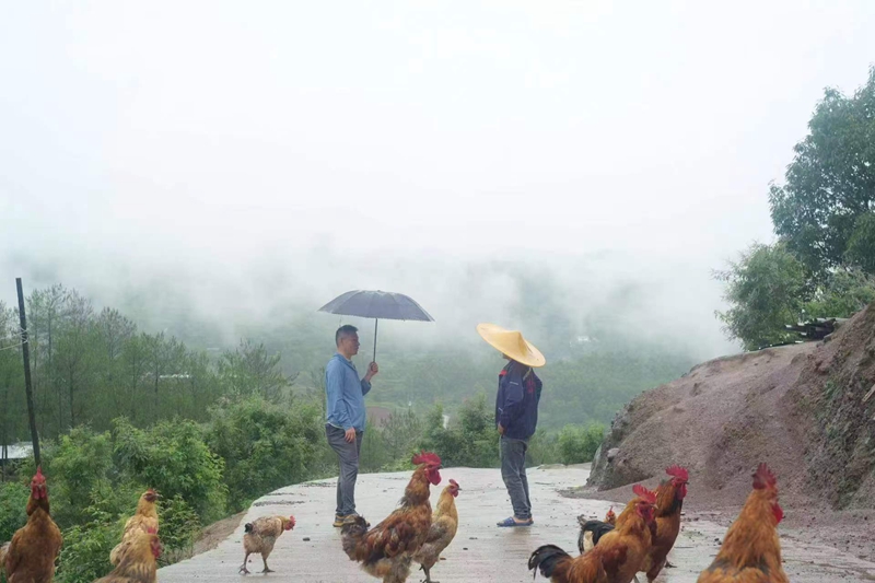 微信图片_20250523115255_副本.jpg