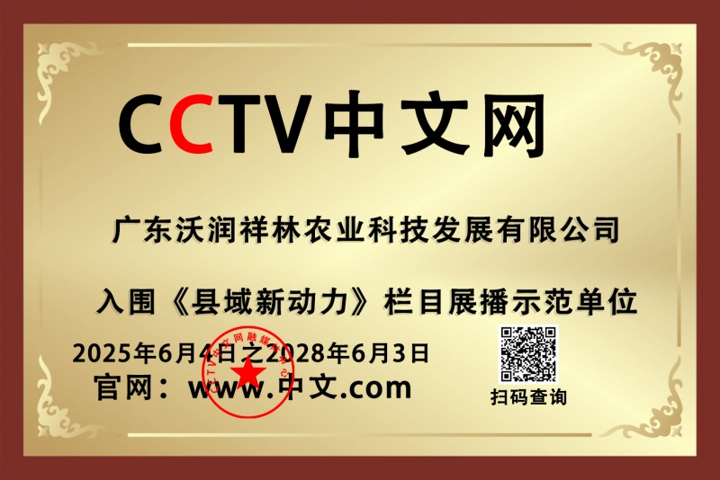44545550 拷贝_副本.jpg