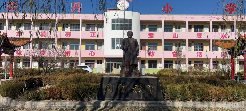 11.jpg