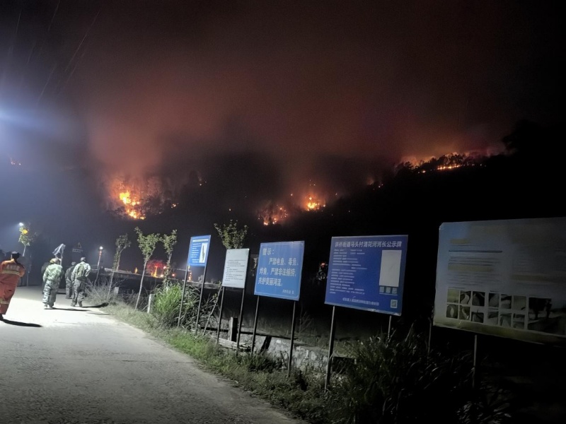 山火突袭!祁东县人武部组织民兵 成功扑灭山火 守护青山显担当