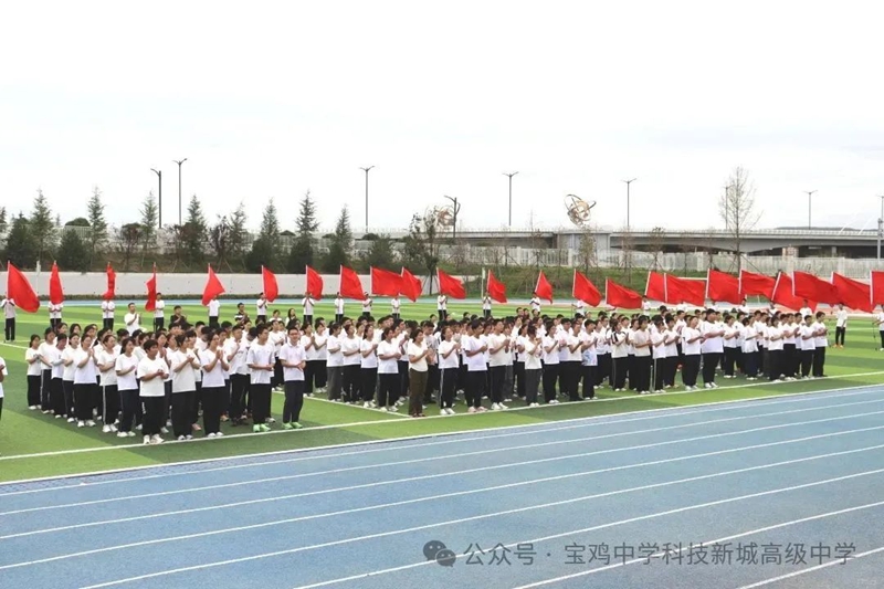 图片3_副本.jpg