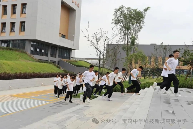 图片51_副本.jpg