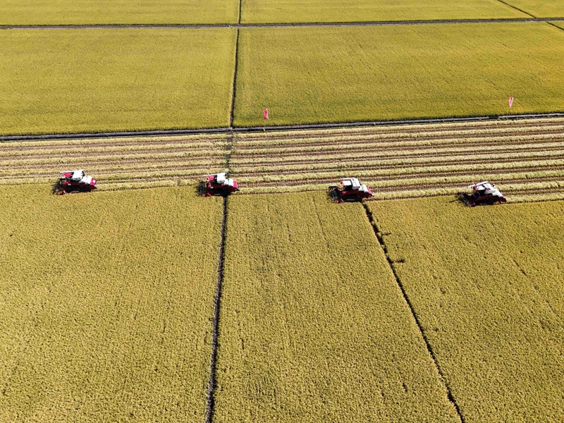 DJI_20250905103842_0010_D_副本.jpg