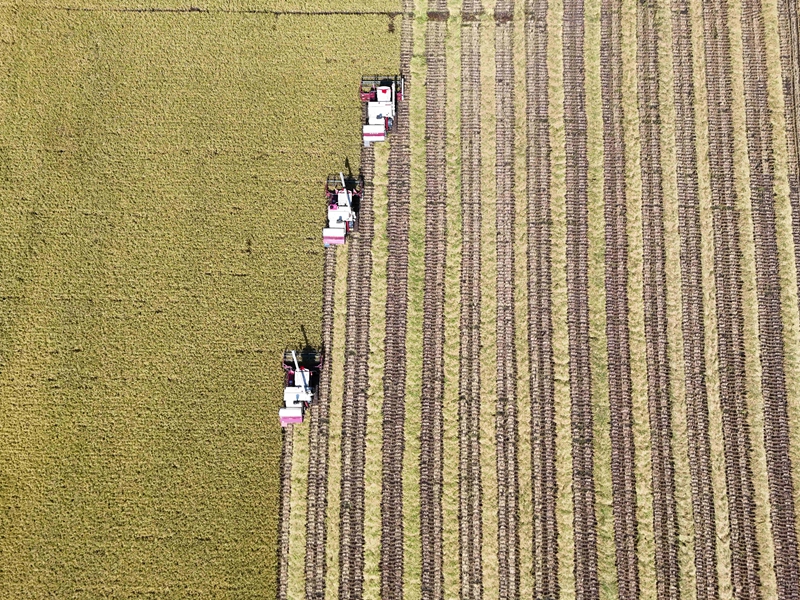 DJI_20250905105527_0034_D_副本.jpg