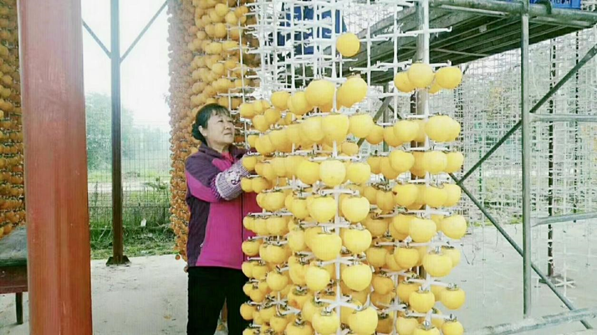 微信图片_20251008200526_58_3.png