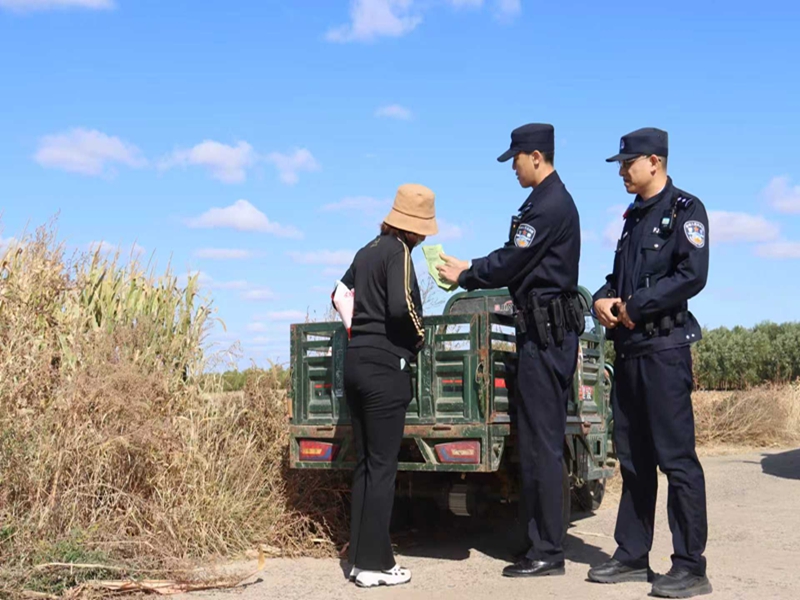 图片3_副本.jpg