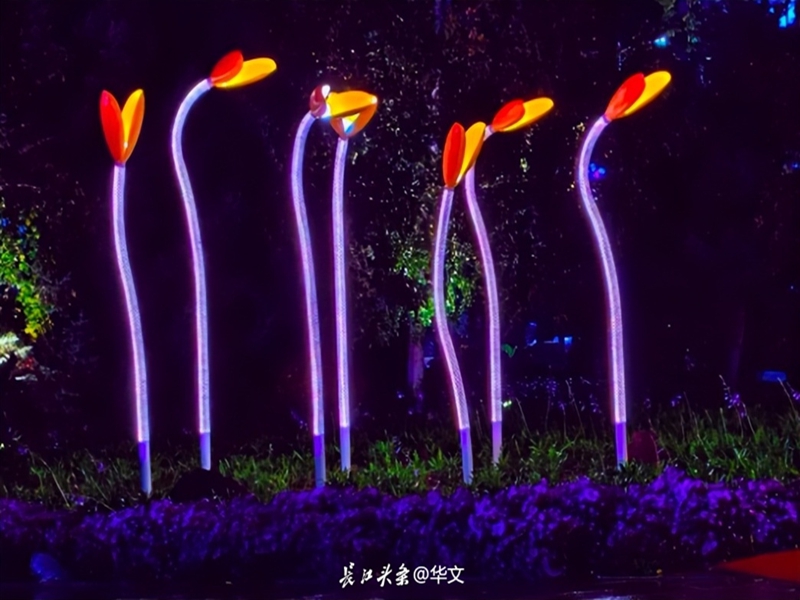 图片3_副本.jpg