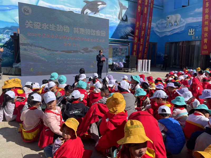 1761639370370731.jpg 图片2_副本.jpg