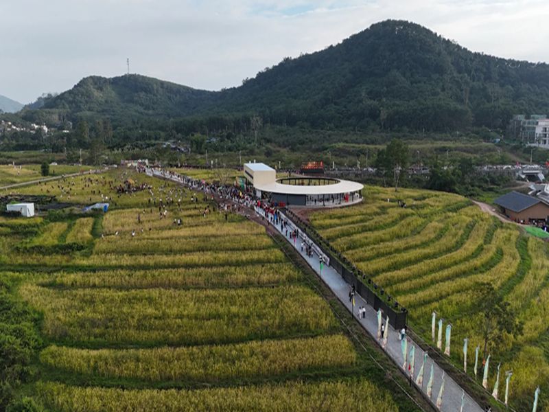 1764478728418643.jpg 微信图片_20251130113310_45_5_副本.jpg