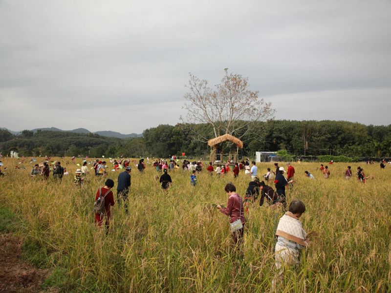 1764478769949827.jpg 微信图片_20251130113313_47_5_副本.jpg