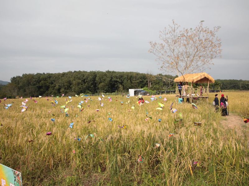 1764478811463321.jpg 微信图片_20251130113315_49_5_副本.jpg