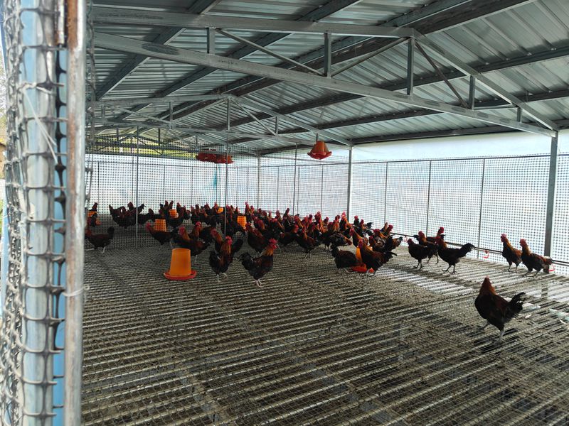 1764647452795394.jpg 下载 (2)_副本.jpg