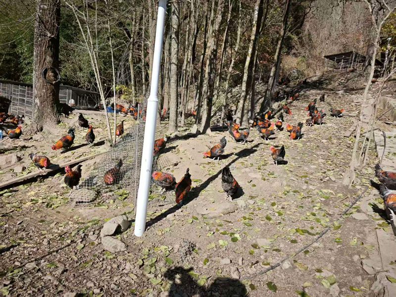 1764647476769852.jpg 下载 (3)_副本.jpg