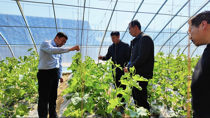 1773450355704333.png 图片1.png