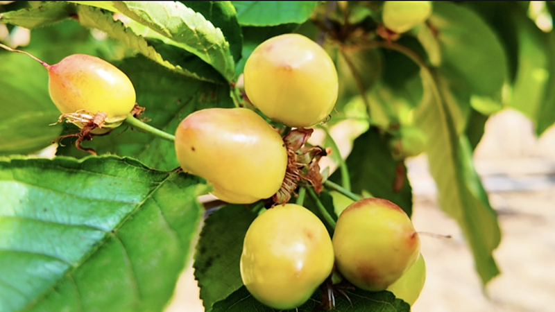 1773450376148987.png 图片2.png