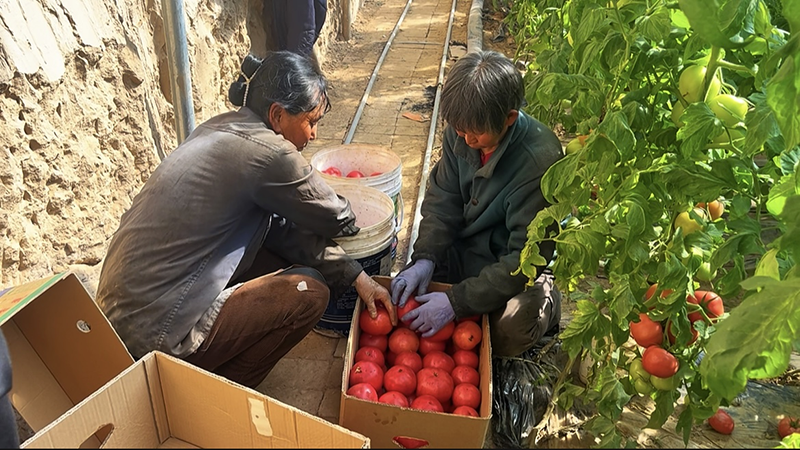 1773450408245850.png 图片3.png