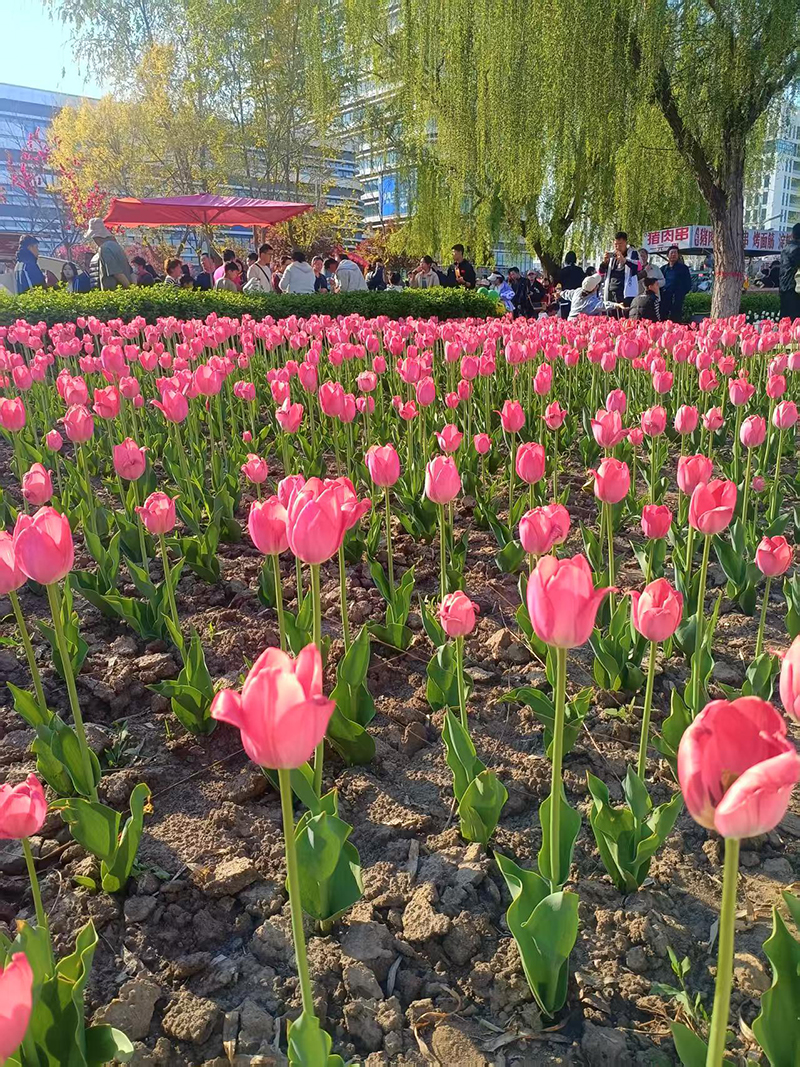微信图片_20260407124508_83_52.jpg