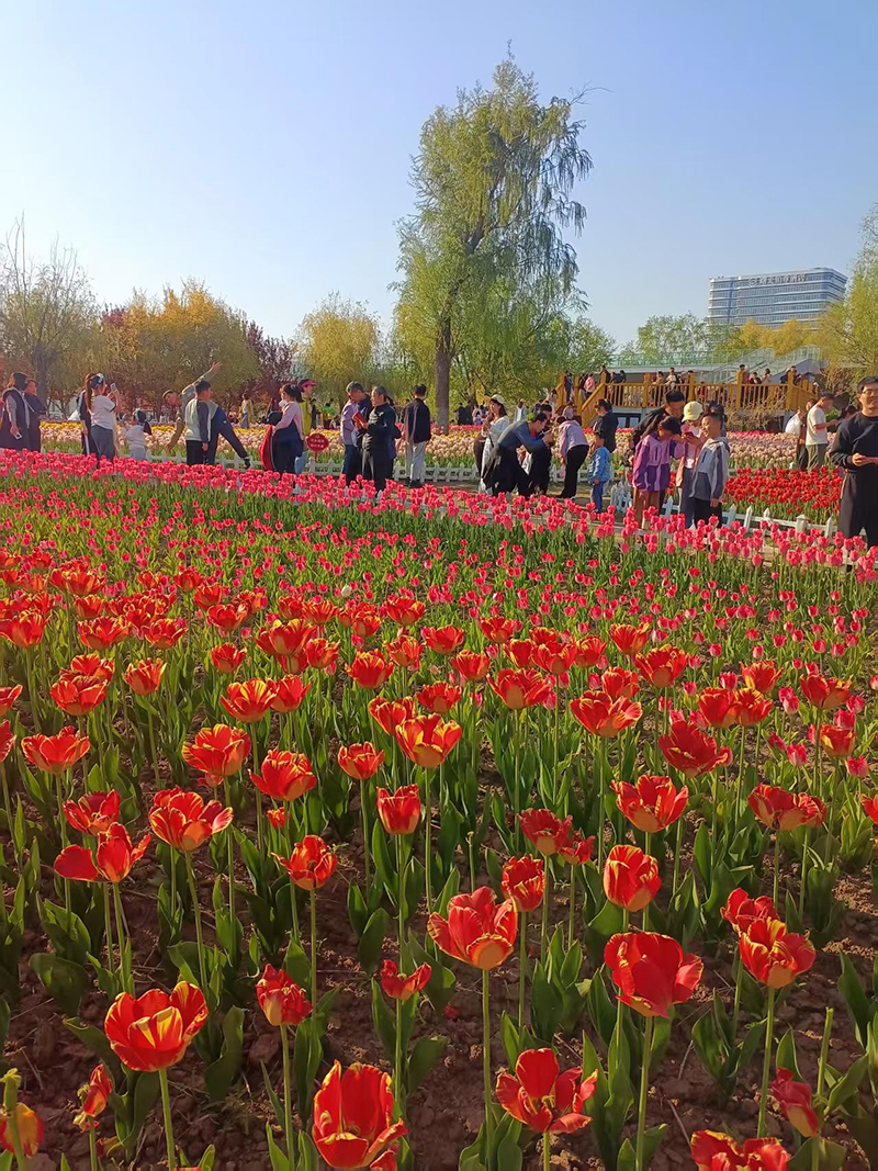 微信图片_20260407124511_87_52.jpg