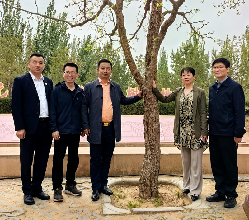 图片8.png