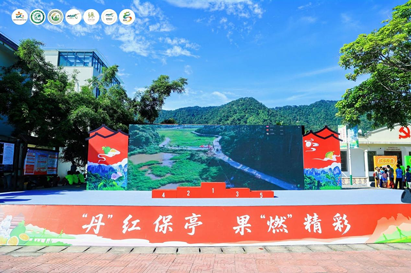 图片8.png